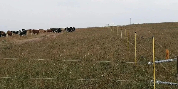 小牛看家新型电子围栏