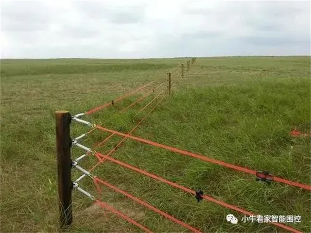 小牛看家畜牧电子围栏主要用途有哪些？